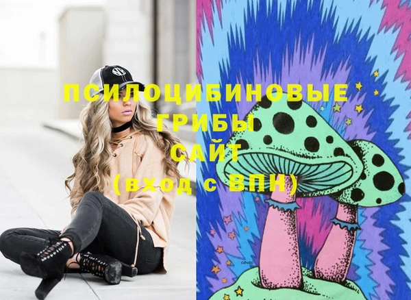 мескалин Арсеньев