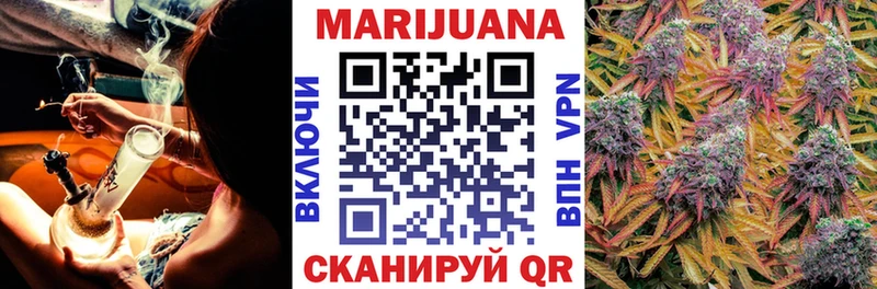Каннабис OG Kush  Иланский 